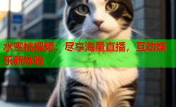 水蜜桃视频：尽享海量直播，互动娱乐新体验
