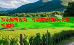 探索蜜桃视频：高清流畅的多元化影视体验