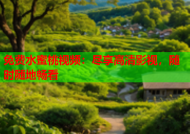 免费水蜜桃视频：尽享高清影视，随时随地畅看