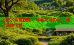 免费水蜜桃视频：尽享高清影视，随时随地畅看