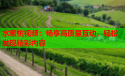 水蜜桃视频：畅享高质量互动，轻松发现精彩内容