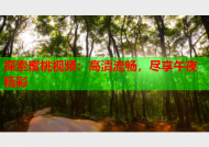 探索蜜桃视频：高清流畅，尽享午夜精彩