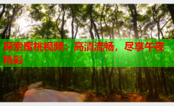 探索蜜桃视频：高清流畅，尽享午夜精彩