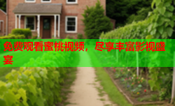 免费观看蜜桃视频，尽享丰富影视盛宴