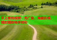 掌上蜜桃视频：无广告、海量影视，随时随地畅享精彩