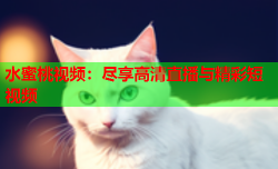 水蜜桃视频：尽享高清直播与精彩短视频