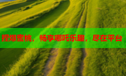 捏爆蜜桃，畅享哪吒乐趣，尽在平台
