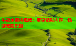 午夜水蜜桃视频：尽享精彩内容，畅游无限乐趣