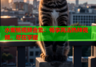 水蜜桃视频合集：畅享高清热辣视频，尽在掌握
