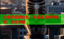 水蜜桃视频合集：畅享高清热辣视频，尽在掌握