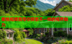蜜桃视频黄带你探索不一样的视界魅力