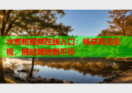 水蜜桃视频在线入口：畅享高清影视，随时随地看不停