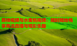 荔枝视频与水蜜桃视频：随时随地畅享高清直播与观影乐趣