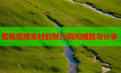 蜜桃视频素材的魅力瞬间捕捉与分享