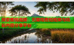 探索蜜桃视频：无限观看短视频与精彩内容分享平台