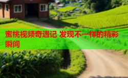 蜜桃视频奇遇记 发现不一样的精彩瞬间