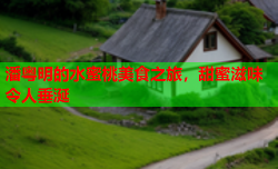 潘粤明的水蜜桃美食之旅，甜蜜滋味令人垂涎