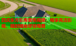 四虎东方影库蜜桃视频：畅享高清影视，随时随地尽情观看