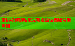 蜜桃视频隐私曝光引发热议揭秘背后真相