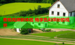 蜜桃视频新体验 畅享色彩缤纷的视界