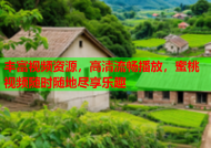 丰富视频资源，高清流畅播放，蜜桃视频随时随地尽享乐趣