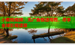 小蜜桃视频：无广告极速观看，尽享全球影视盛宴