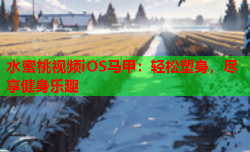 水蜜桃视频iOS马甲：轻松塑身，尽享健身乐趣