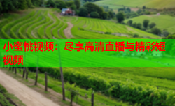 小蜜桃视频：尽享高清直播与精彩短视频