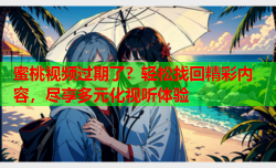 蜜桃视频过期了？轻松找回精彩内容，尽享多元化视听体验