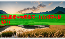 蜜桃视频带你探索不一样的视界与精彩(1)