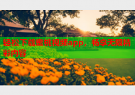 轻松下载蜜桃视频app，畅享无限精彩内容