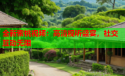 全新蜜桃视频：高清视听盛宴，社交互动无限