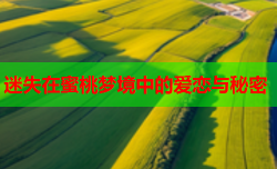 迷失在蜜桃梦境中的爱恋与秘密