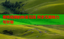 蜜桃视频的秘密花园 探索无限魅力与欢愉