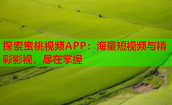 探索蜜桃视频APP：海量短视频与精彩影视，尽在掌握