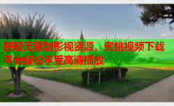 获取无限制影视资源，蜜桃视频下载平台轻松享受高清播放
