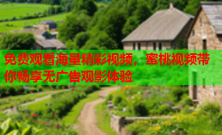 免费观看海量精彩视频，蜜桃视频带你畅享无广告观影体验