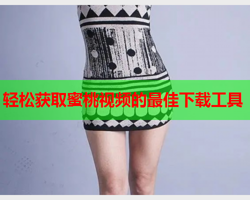 轻松获取蜜桃视频的最佳下载工具  第1张