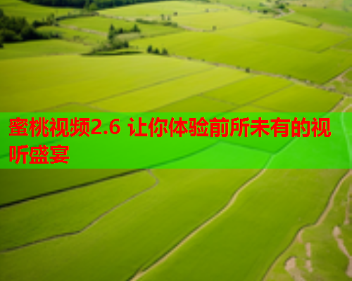 蜜桃视频2.6 让你体验前所未有的视听盛宴  第1张