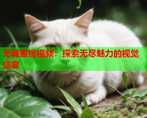 无翼蜜桃视频：探索无尽魅力的视觉盛宴  第2张