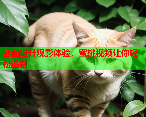 全面提升观影体验，蜜桃视频让你轻松追剧  第2张
