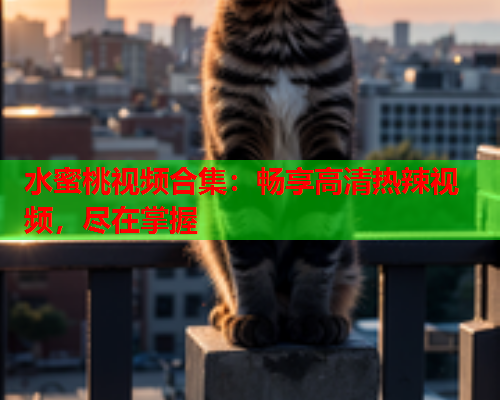 水蜜桃视频合集：畅享高清热辣视频，尽在掌握  第1张